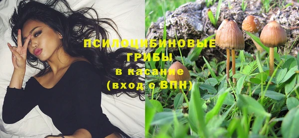 крисы Балахна