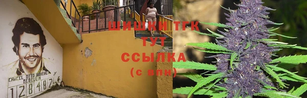 ешки Белоозёрский