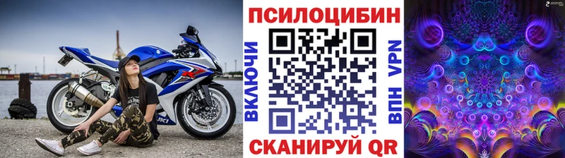 купить наркотик  кракен ССЫЛКА  Галлюциногенные грибы MAGIC MUSHROOMS  Уссурийск 
